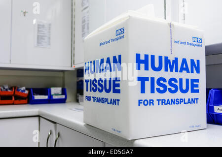 Box in a hospital saying 'Human Tissue for transplant' containing surgical pack for organ harvesting, and instructions for transportation Stock Photo