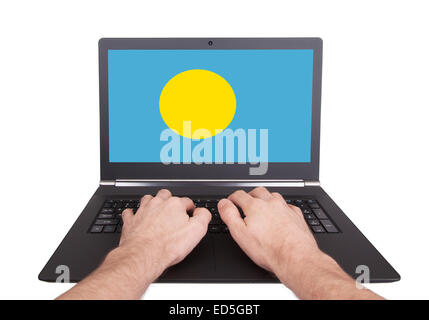 Hands working on laptop showing on the screen the flag of Palau Stock Photo