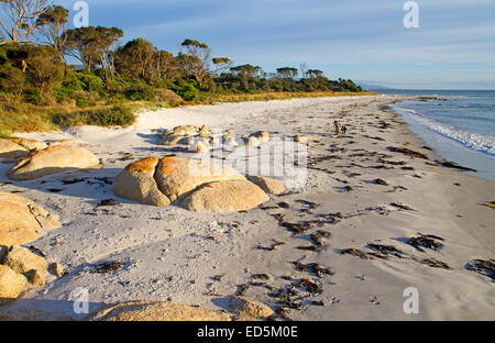 Beach at Bicheno at dawn Stock Photo