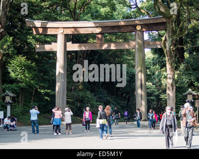 Great Tori of Meiji-jingu, Tokyo Stock Photo