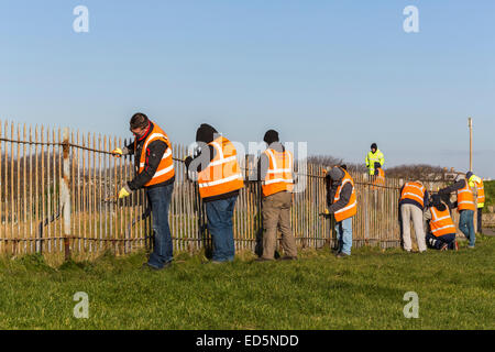 Offenders working at Southsea Castle, Portsmouth, carrying out community service; orange jackets inscribed 'Community Payback' Stock Photo