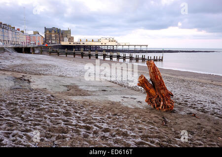 Aberystwyth, Wales, Uk. 29 December 2014.  UK Weather. Frost - and a washed-up tree trunk - on Aberystwyth beach Credit:  Alan Hale/Ģ����ý Live News Stock Photo