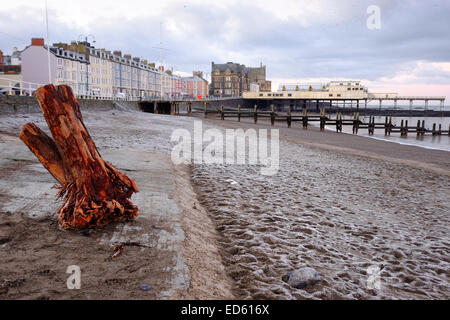 Aberystwyth, Wales, Uk. 29 December 2014.  UK Weather. Frost - and a washed-up tree trunk - on Aberystwyth beach Credit:  Alan Hale/Ģ����ý Live News Stock Photo