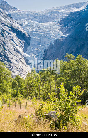 The Briksdal Glacier Jostedalsbreen National Park Norway Stock Photo