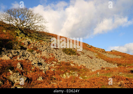 Y Garn Fach Garn Goch iron age hillfort Llandeilo Carmarthenshire Wales Cymru UK GB Stock Photo