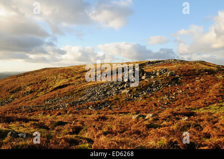 Y Garn Fach Garn Goch iron age hillfort Llandeilo Carmarthenshire Wales Cymru UK GB Stock Photo