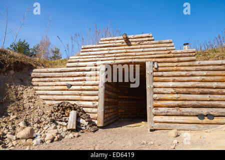 Wooden wall and open door of traditional underground sauna in Finland Stock Photo