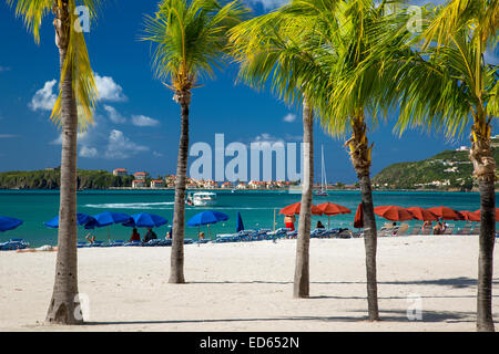 Palm trees along beach in Philipsburg, Sint Maarten, West Indies Stock Photo