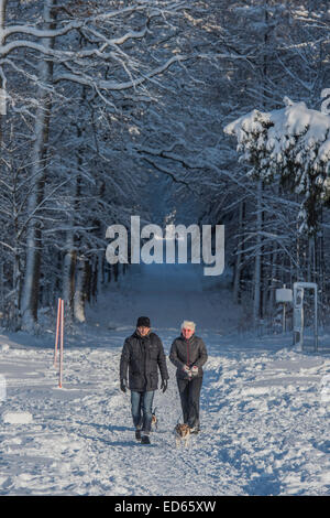 Karslruhe, Germany. 28th Dec, 2014. Snow fall post christmas brings out skiers and tobogganers and their pets. Dobel, Black Forest,  Germany. Credit:  Guy Bell/Alamy Live News Stock Photo