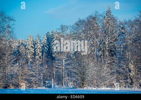 Karslruhe, Germany. 28th Dec, 2014. Snow fall post christmas brings out skiers and tobogganers and their pets.  Dobel, Black Forest,  Germany. Credit:  Guy Bell/Alamy Live News Stock Photo