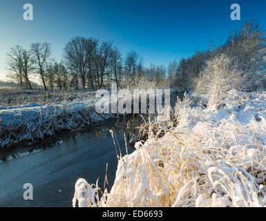 winter landscape with frosted river and plants under snow Stock Photo