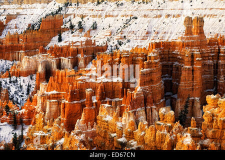 Autumn glow of first light on the snow dusted hoodoos in Utah's Bryce Canyon National Park. Stock Photo