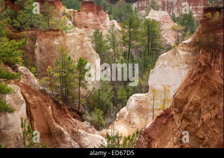 Providence Canyon, also known as 'Little Grand Canyon,' is considered one of the Seven Natural Wonders of Georgia. (USA) Stock Photo