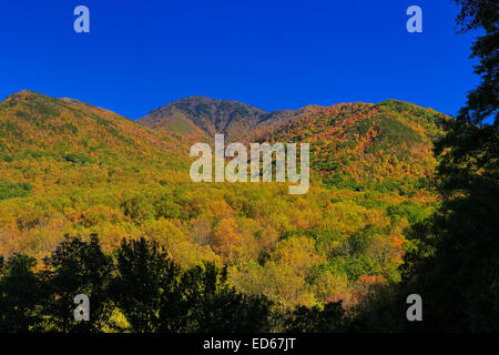 Campbell Overlook, Great Smoky Mountains National Park, Tennessee, USA Stock Photo