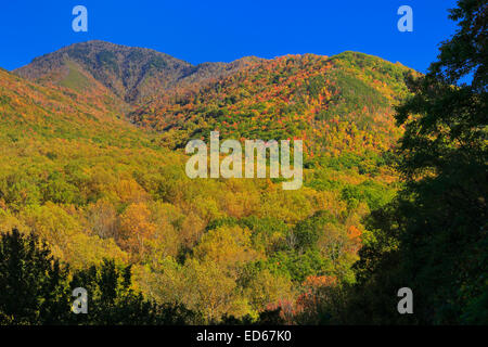 Campbell Overlook, Great Smoky Mountains National Park, Tennessee, USA Stock Photo