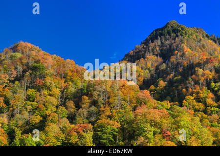 Chimney Tops, Great Smoky Mountains National Park, Tennessee, USA Stock Photo