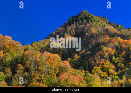 Chimney Tops, Great Smoky Mountains National Park, Tennessee, USA Stock Photo