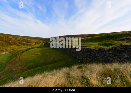 An early morning visit to Swaledale with this particular scene being imbetween Arkengarthdale and Low Row in the Yorkshire Dales Stock Photo