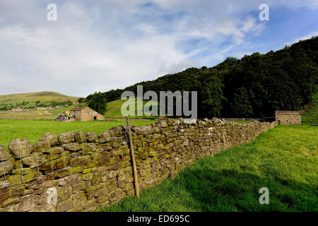 The views in Swaledale some 1 mile from Gunnerside in the Yorkshire Dales National Park, North Yorkshire Stock Photo