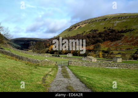 The views from Muker looking up Swaledale towards Keld on the Coast to Coast walk. Stock Photo