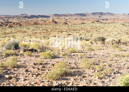 Augrabies Falls National Park, Namaqualand, Northern Cape, South Africa Stock Photo