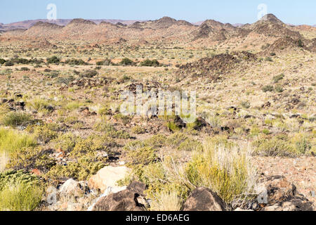 Augrabies Falls National Park, Namaqualand, Northern Cape, South Africa Stock Photo