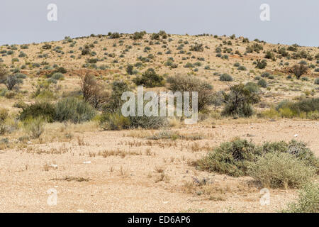 Augrabies Falls National Park, Namaqualand, Northern Cape, South Africa Stock Photo