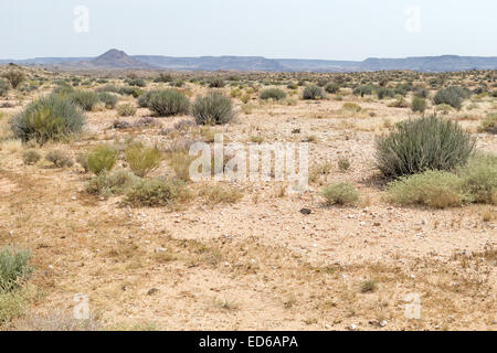 Augrabies Falls National Park, Namaqualand, Northern Cape, South Africa Stock Photo