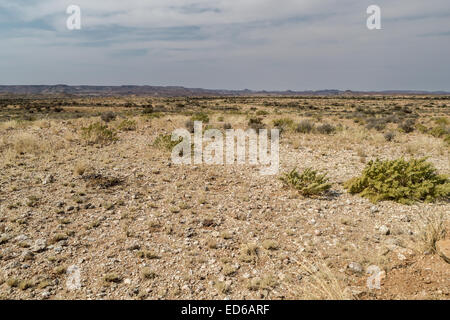 Augrabies Falls National Park, Namaqualand, Northern Cape, South Africa Stock Photo