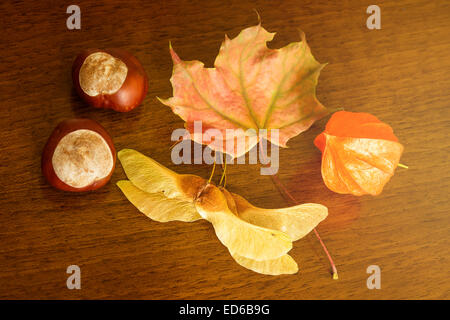 chestnut, physalis and autumn leaves on wood table Stock Photo