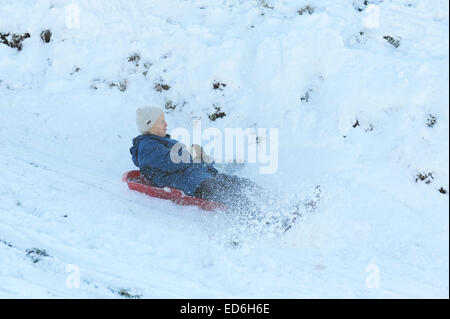 78 year old lady sledging down a snowy hillside Stock Photo