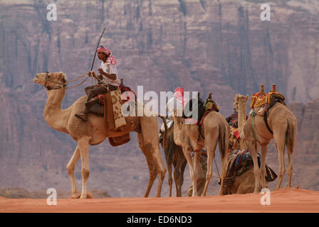 Dromedary camels and handler in the beautiful desert landscape in the valley of Wadi Rum, Jordan. Stock Photo