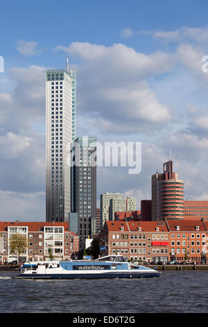 Waterbus tour boat on a river in Rotterdam city centre in Holland, Nethelands. Stock Photo