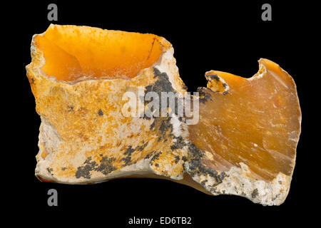 Brown flint (flintstone, SiO2) specimen in limestone Stock Photo - Alamy