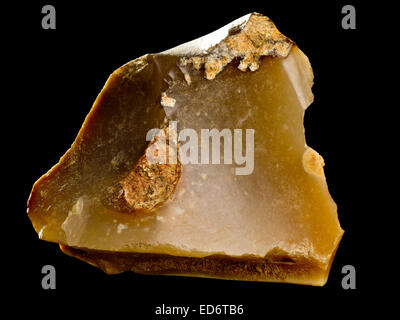 Brown Sio2 Brown flint (flintstone, SiO2) specimen in limestone Stock Photo - Alamy