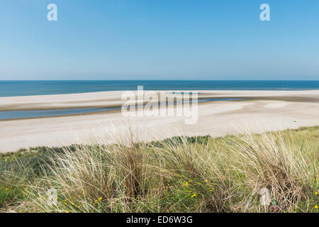 Beach and blue sky with some dune plants at Maasvlakte near Rotterdam. Stock Photo