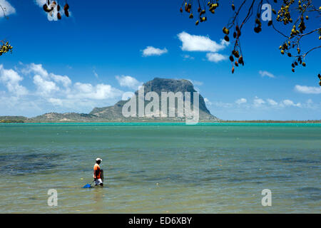 Mauritius, Tamarin, Little Black River, Petit Riviere Noir, fisherman with circular net fishing in shallows Stock Photo