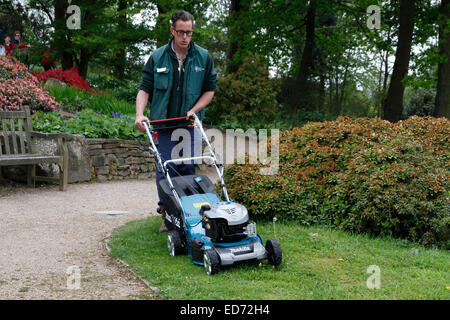 Lawn Mowing with petrol mower Stock Photo