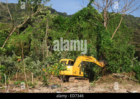 Tropical rainforest destroyed for building Vacation resort. Thailand, Krabi, Koh Lanta Ko. Southeast Asia. Stock Photo
