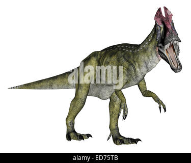 Cryolophosaurus dinosaur, white background. Stock Photo