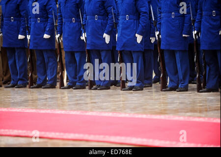 Guard of honor soldiers in front of the red carpet during military ceremony Stock Photo