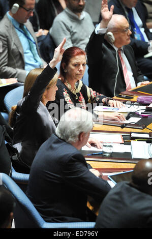 New York, USA. 30th Dec, 2014. US Permanent Representative to the United Nations Samantha Power (center L) and her Australian counterpart Gary Quinlan (upper R) vote against a Palestinian-drafted Security Council resolution, at the UN headquarters in New York, on Dec. 30, 2014. The UN Security Council on Tuesday failed to adopt a Palestinian-drafted resolution urging the end of Israel occupation by the end of 2017. Credit:  Niu Xiaolei/Xinhua/Alamy Live News Stock Photo