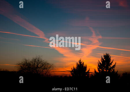 Aeroplane contrails warm sunset light Stock Photo