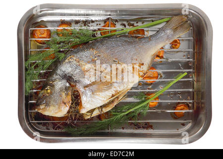 Dorade with carrots,  rosemary and dill Stock Photo
