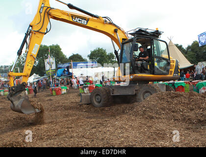 Glastonbury Festival 2014 - Celebrity sightings and atmosphere - Day 3  Featuring: Atmosphere Where: Glastonbury, United Kingdom When: 28 Jun 2014 Stock Photo