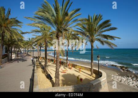 Beach promenade Paseo Maritimo, Marbella, Costa del Sol, Andalucia, Spain Stock Photo