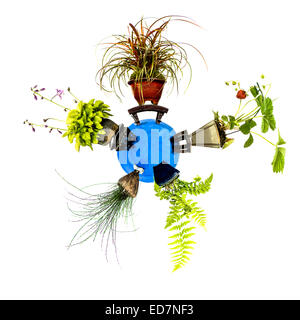 Mini planet with five different plants like grass, fern and strawberry Stock Photo