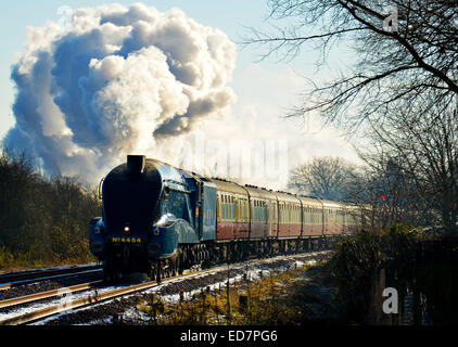 Bittern 4464 steam train passing through Spalding in Lincolnshire on journey between London King's Cross and Lincoln Stock Photo