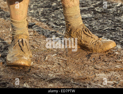 Glastonbury Festival 2014 - Celebrity sightings and atmosphere - Day 3  Featuring: Atmosphere Where: Glastonbury, United Kingdom When: 28 Jun 2014 Stock Photo