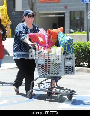 Melissa McCarthy goes shopping at Cost Plus World Market with her daughter Vivian Falcone  Featuring: Melissa McCarthy Where: Sherman Oaks, California, United States When: 28 Jun 2014 Stock Photo